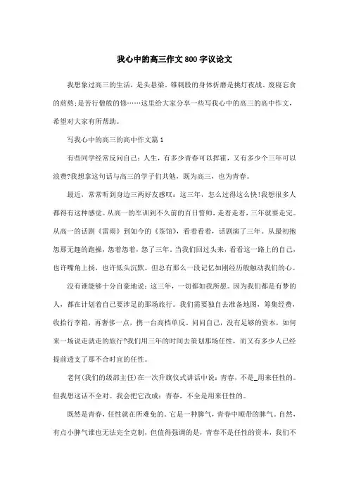 我心中的高三作文800字议论文