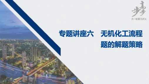 2021届高中化学高三步步高一轮复习资料第八章 专题讲座六