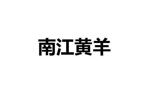 南江黄羊
