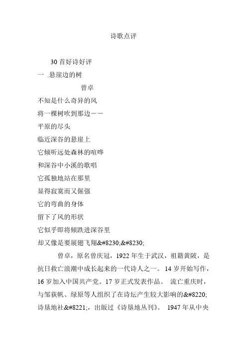 诗歌点评