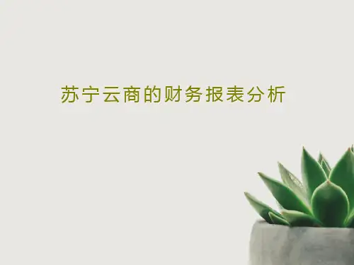 苏宁云商的财务报表分析23页PPT