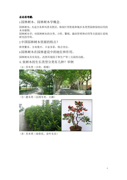 园林树木学复习资料