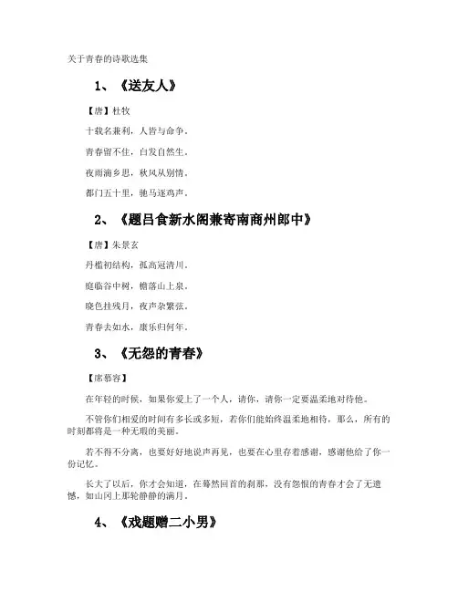 青春的诗歌选集