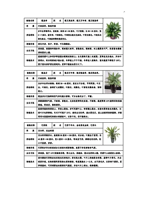 常见室内盆栽绿化植物介绍(带图片)编辑整理