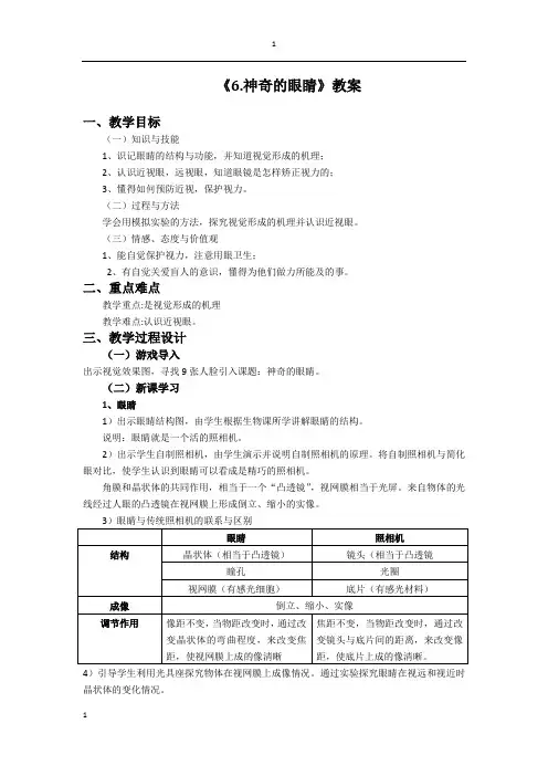 《6.神奇的眼睛》优秀教案 (展示课)