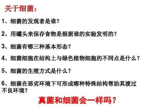 真菌