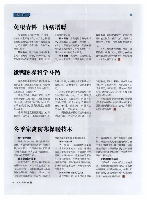 兔喂青料 防病增膘