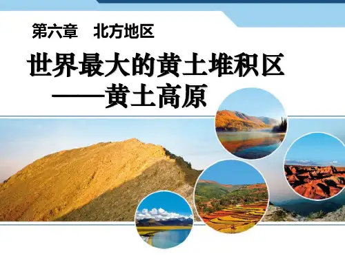人教版八年级地理下册《世界最大的黄土堆积区-黄土高原》PPT课件(3篇)