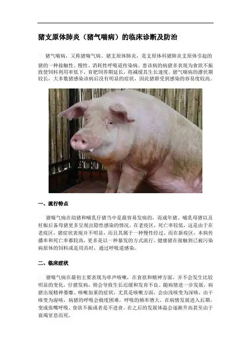 猪支原体肺炎(猪气喘病)的临床诊断及防治
