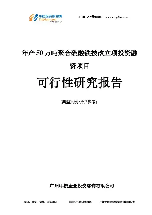 年产50万吨聚合硫酸铁技改融资投资立项项目可行性研究报告(中撰咨询)