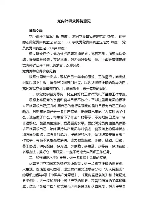 党内外群众评价意见 2