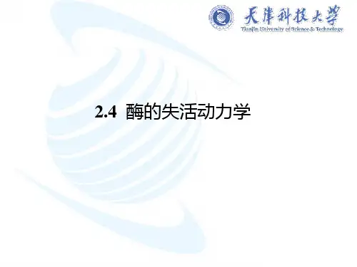 24酶的失活动力学
