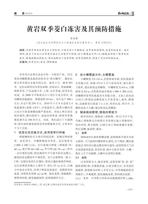 黄岩双季茭白冻害及其预防措施