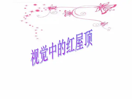 《视觉中的红屋顶》课件2