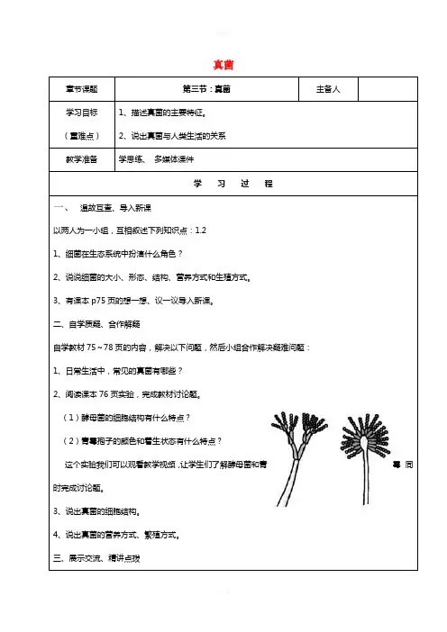 八年级生物上册 第五单元 第四章 第三节 真菌教案 (新版)新人教版