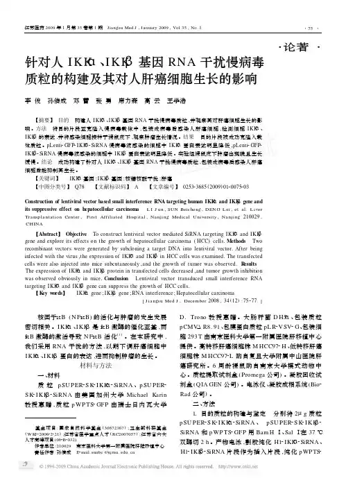 针对人IKKα,IKKβ基因RNA干扰慢病毒质粒的构建及其对人肝癌细胞生长的影响