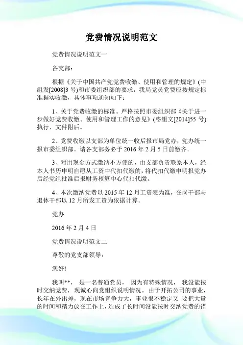党费情况说明范文.doc