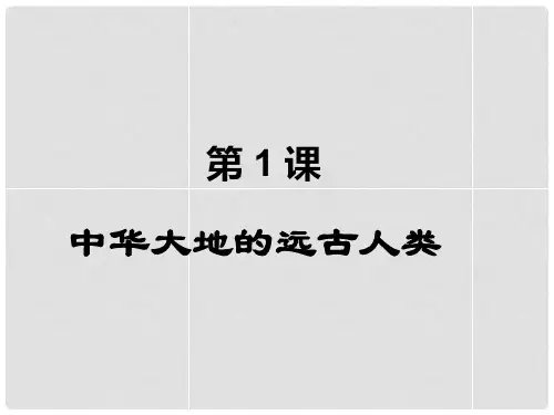 七年级历史上册 第一单元 第1课 中华大地的远古人类课件 北师大版