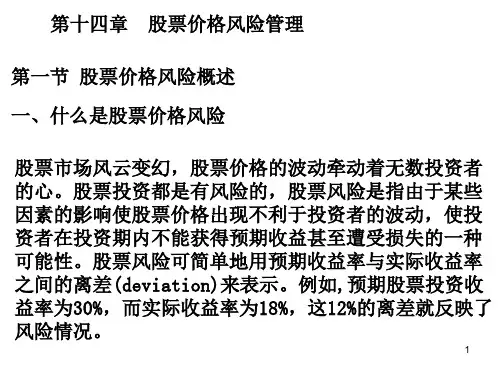 《股票价格风险管理》PPT幻灯片
