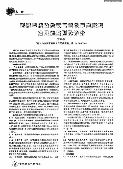 鸡肾型传染性支气管炎与内脏型痛风的鉴别及诊治