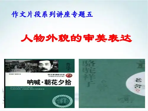 作文片段系列讲座五 人物外貌的审美表达-河北省2020年中考语文复习专题ppt