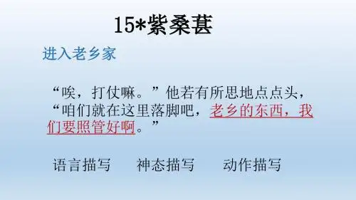 15紫桑葚