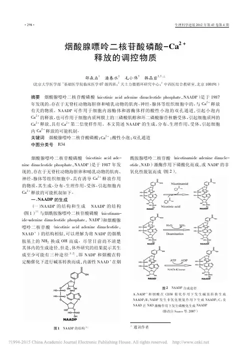烟酸腺嘌呤二核苷酸磷酸_Ca_2_释放的调控物质_邵森垚