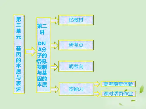 高中生物一轮复习 第三单元 第二讲 DNA分子的结构、复制与基因的本质课件 新人教版必修2