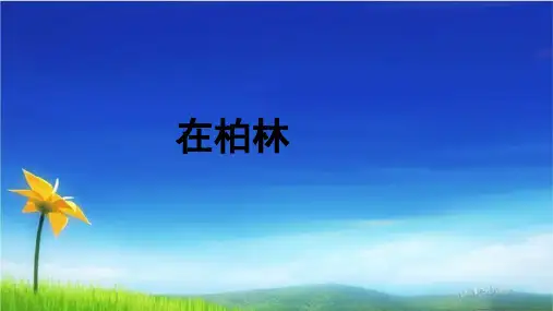 统编版六年级上册语文精品课件第14课 在柏林- (共26张)