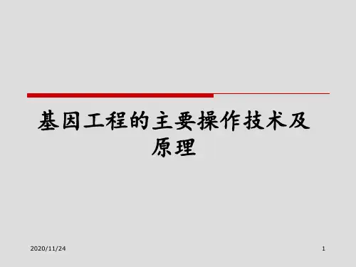 基因工程的主要操作技术及原理 ppt课件