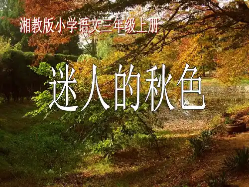 《迷人的秋色》2 精选优质课件