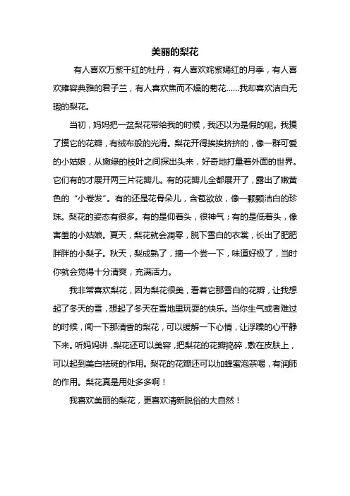 三年级作文：美丽的梨花作文500字