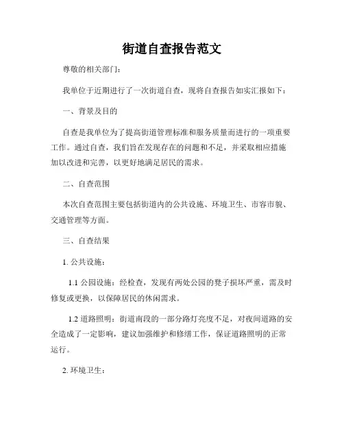 街道自查报告范文