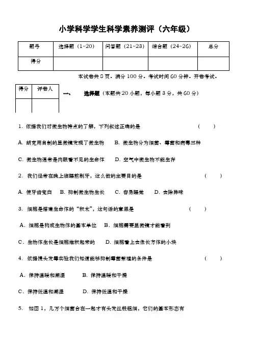 六年级上册科学试卷-素养测试苏教版