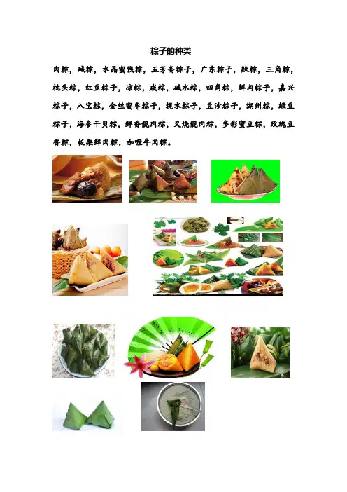 粽子的种类