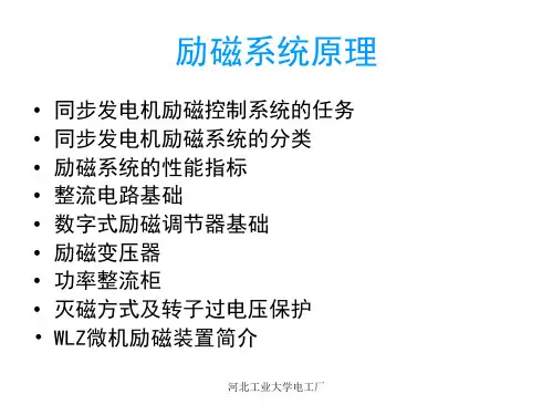 励磁培训教材