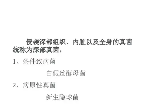深部感染真菌