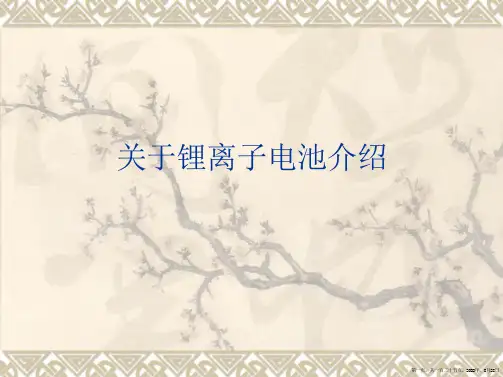 锂离子电池介绍