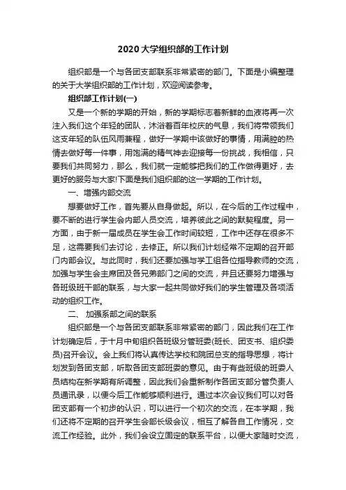 2020大学组织部的工作计划