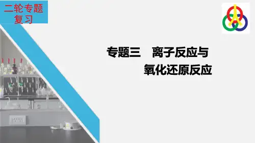 高一化学离子反应与氧化还原反应考点复习