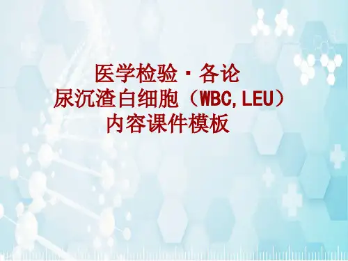 医学检验·检查项目：尿沉渣白细胞(WBC,LEU)_课件模板