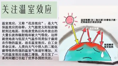 人教版七年级生物下册《科学·技术·社会 温室效应增强和全球气候变暖》公开课课件_12