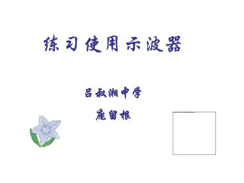 高考物理练习使用示波器