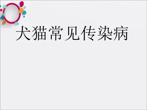 《小动物常见传染病》PPT课件