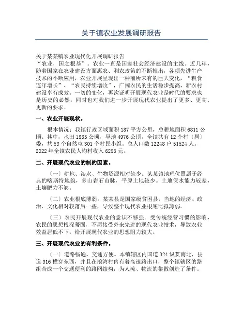 关于镇农业发展调研报告
