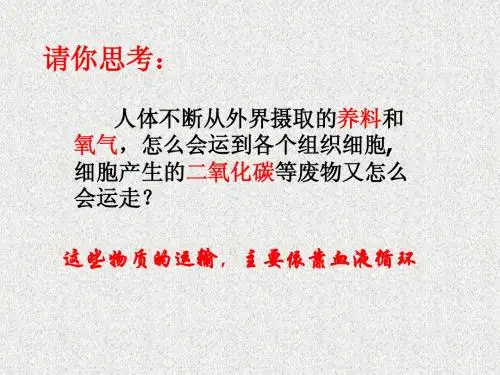 上课用-物质运输的载体