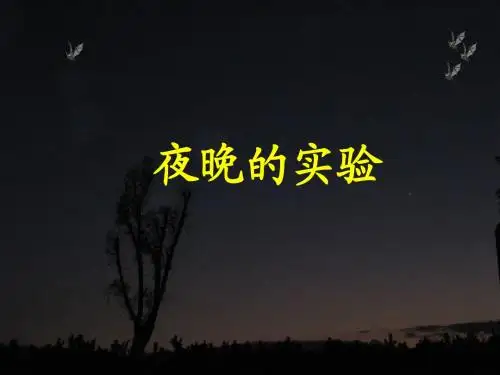 夜晚的实验公开课第二课时PPT课件