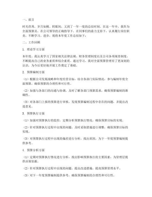 全面预算年度总结范文