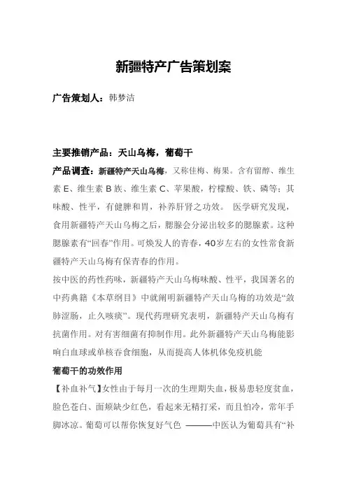 新疆特产广告策划案