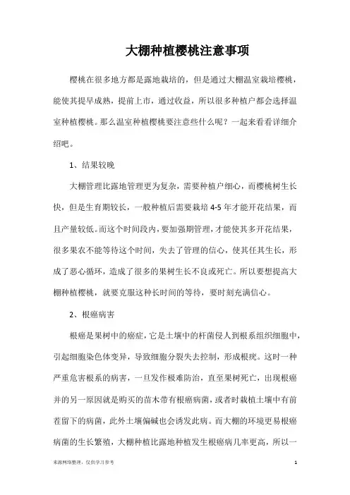 大棚种植樱桃注意事项